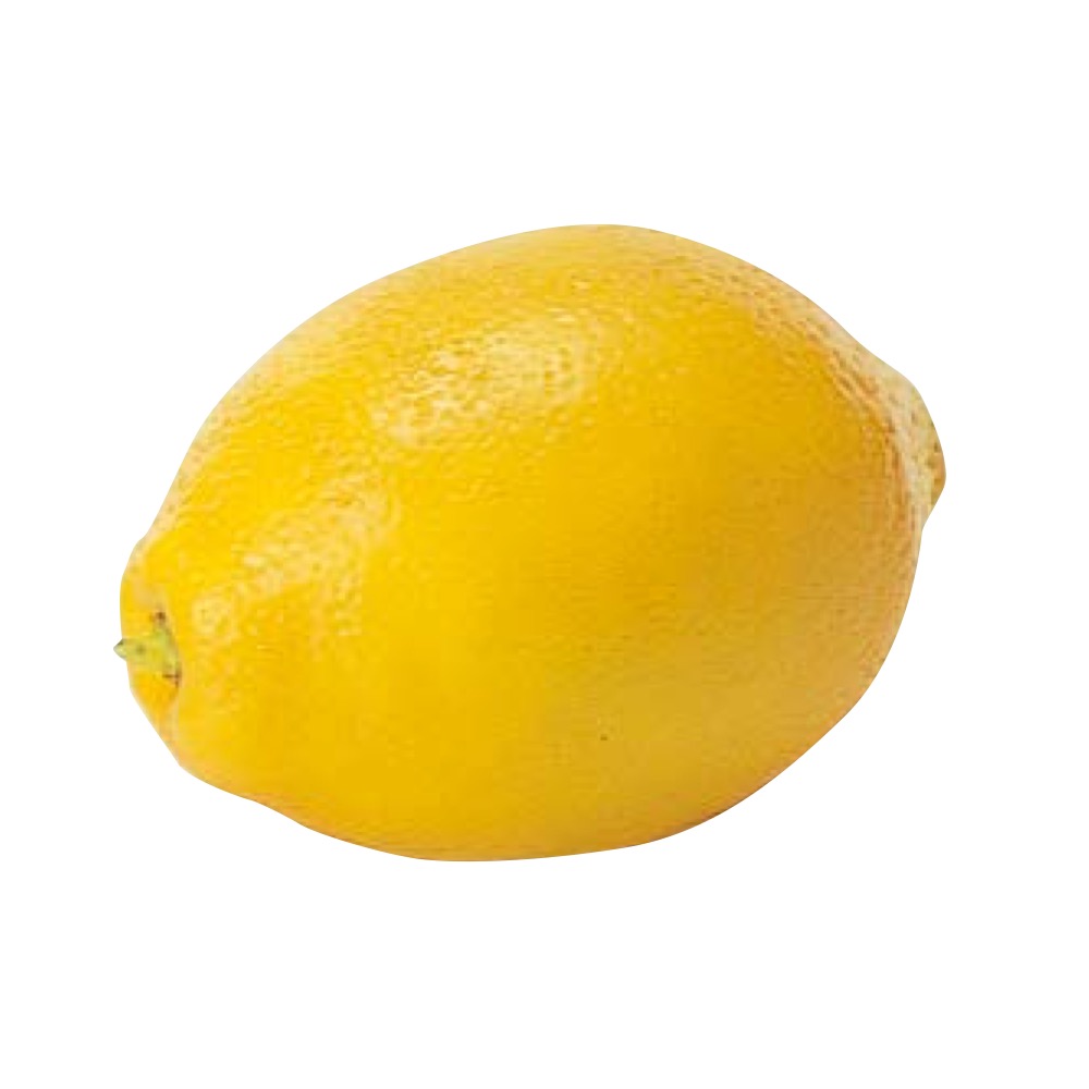 A-23022 レモン