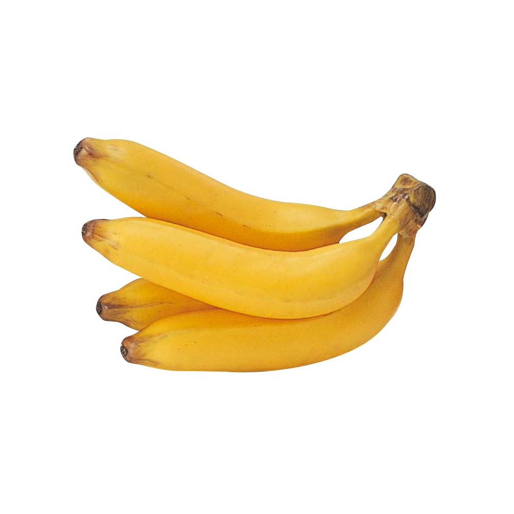 A-23026 バナナ（４本房）