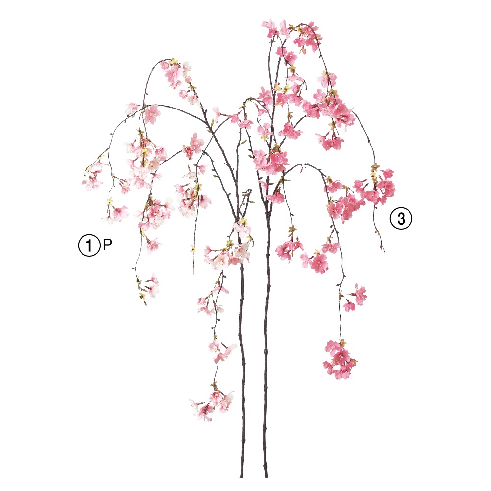 A-33543 しだれ桜×８５ つぼみ×６ | アン・デコ－ルオンラインショップ 