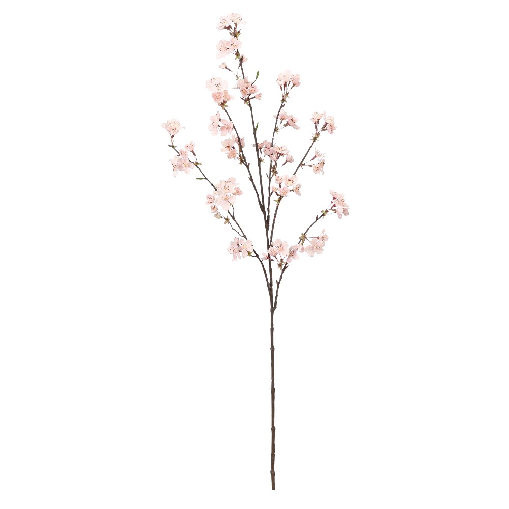 A-33563 桜×７６　つぼみ×１３