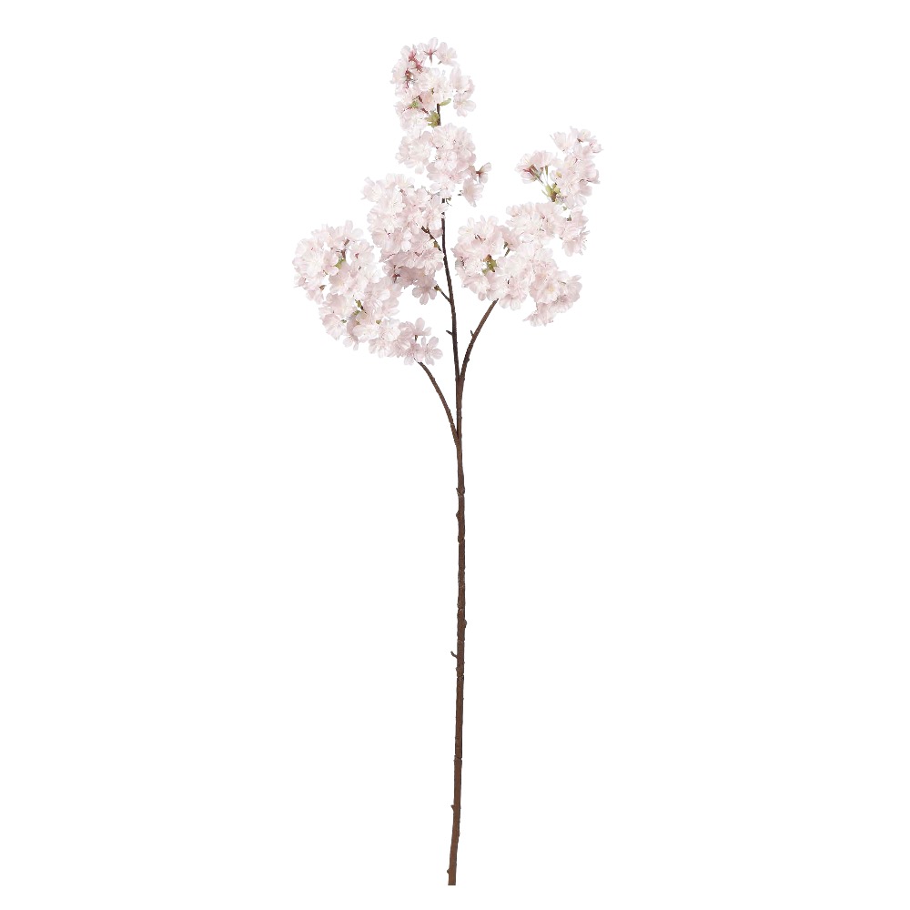 A-33742 桜×２１１　つぼみ×９