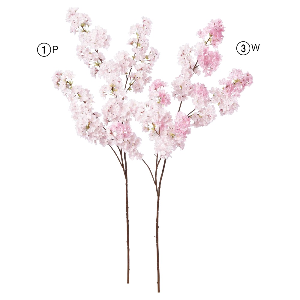 A-33744 桜×４４８　つぼみ×１２