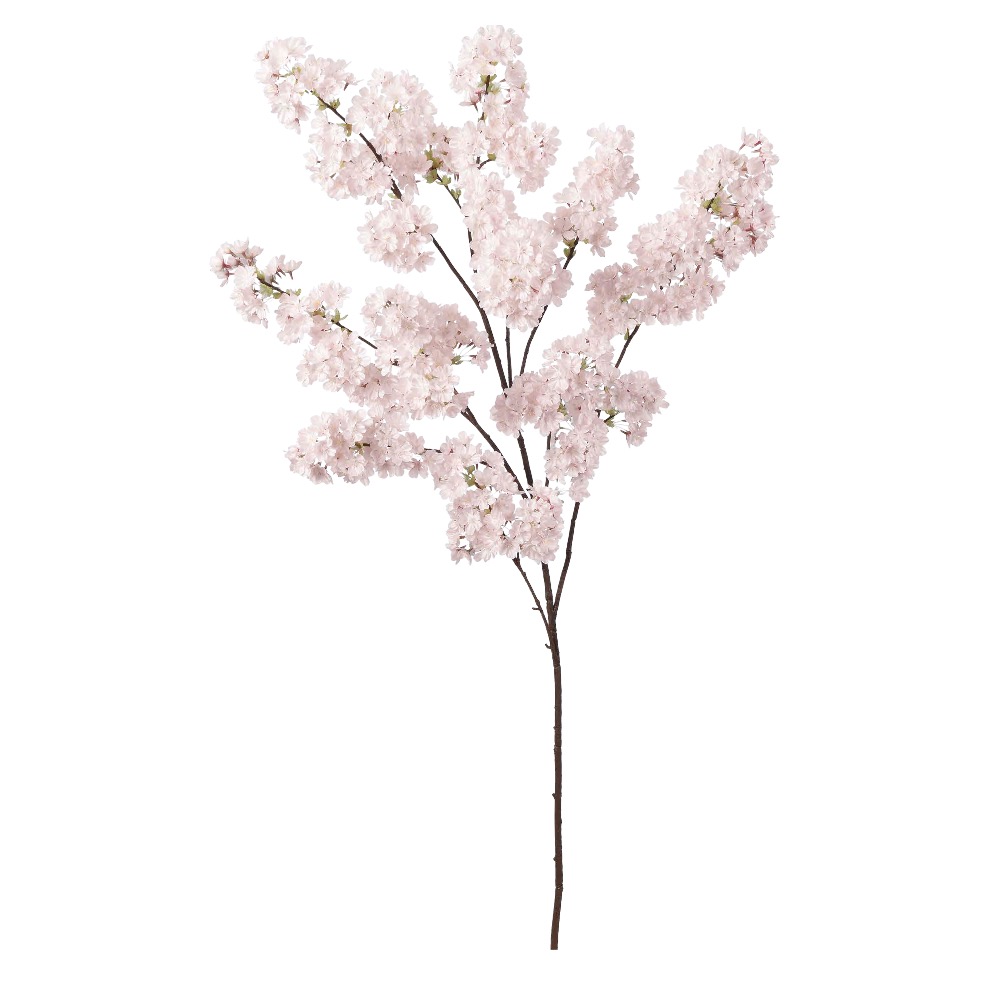 A-33745 桜×８９０ つぼみ×１５ | アン・デコ－ルオンラインショップ 