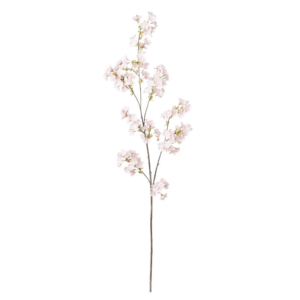 A-33747 桜×１３０　つぼみ×１６