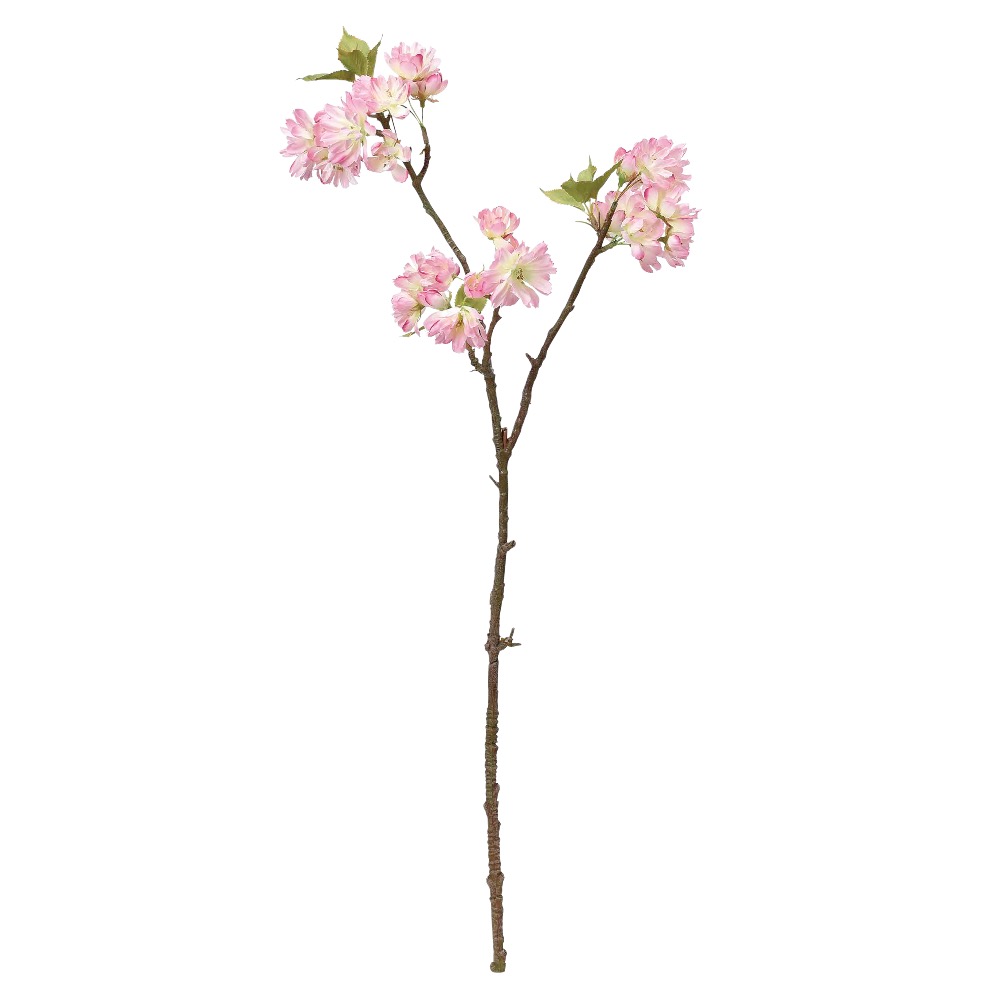A-33870 桜×２７ | アン・デコ－ルオンラインショップ（アーティ 