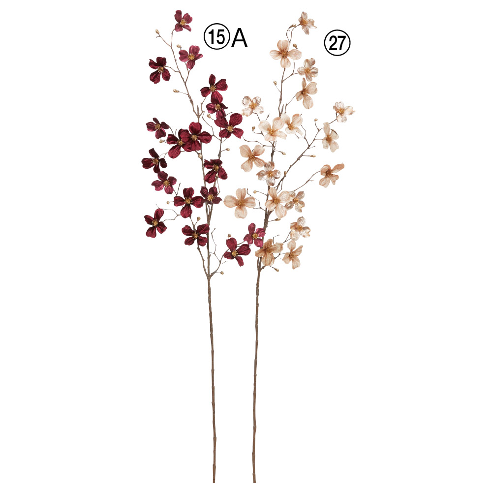 A-73443 ベルベットドッグウッド×１８　つぼみ×１２