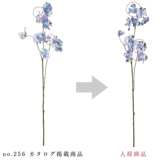 A-35128 スイトピー×１０