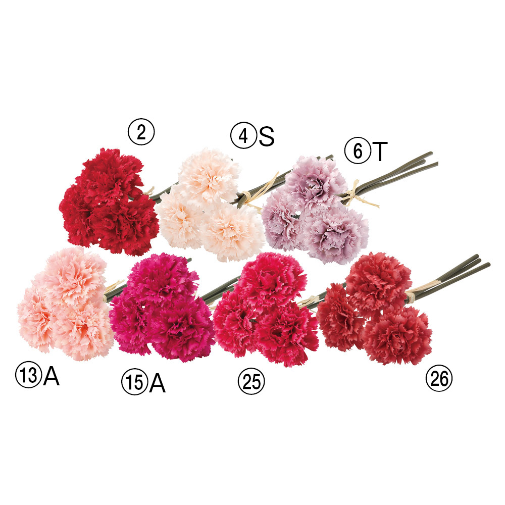 A-33160 カーネーションバンチ（１束３本）