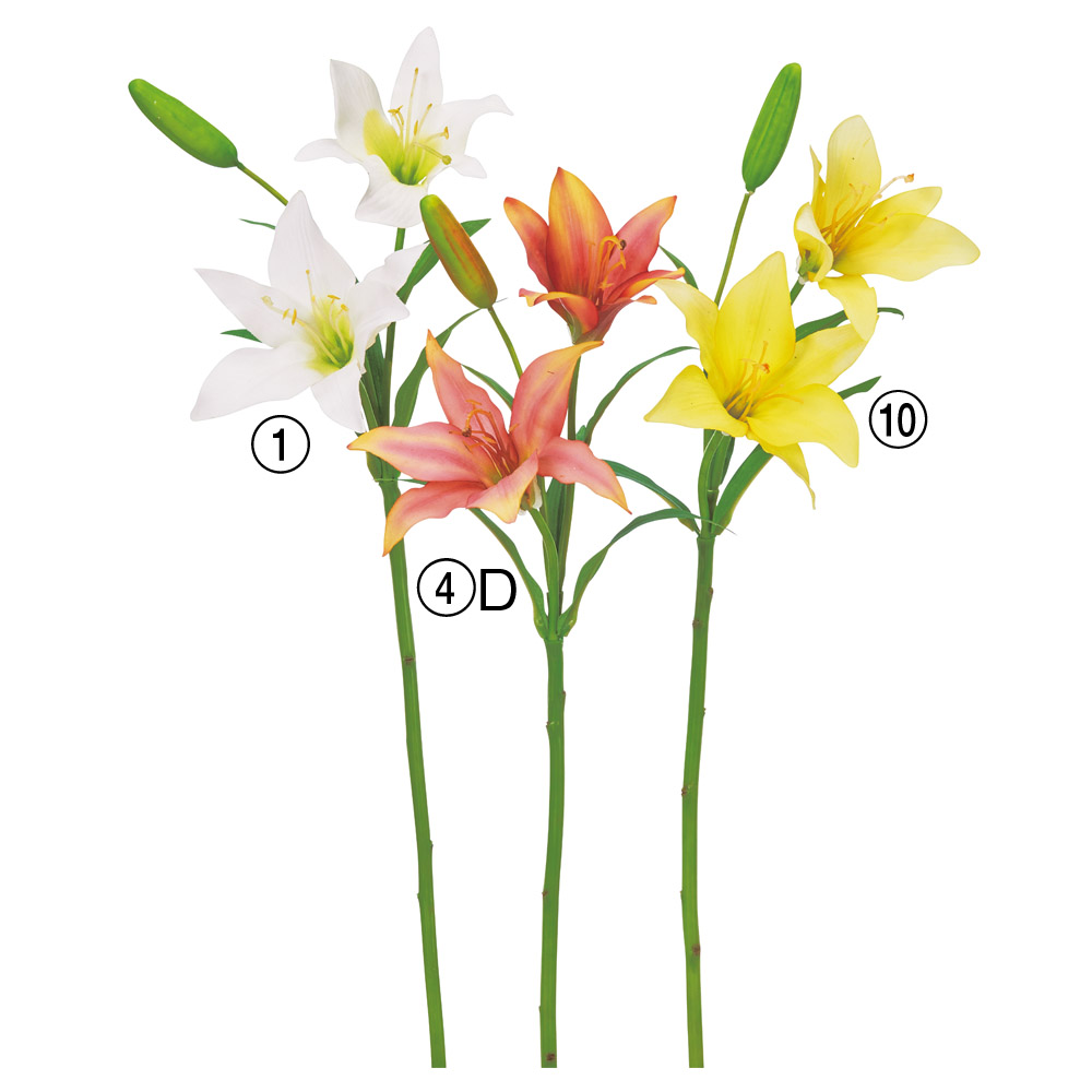 A-35348 リリィ×２　つぼみ×１