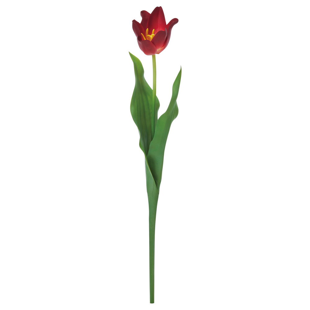 A-35350 セミオープンチューリップ