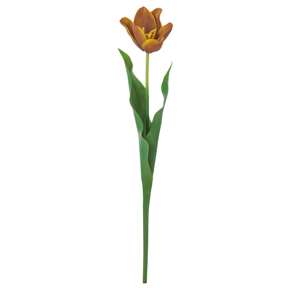 A-35351 セミオープンチューリップ