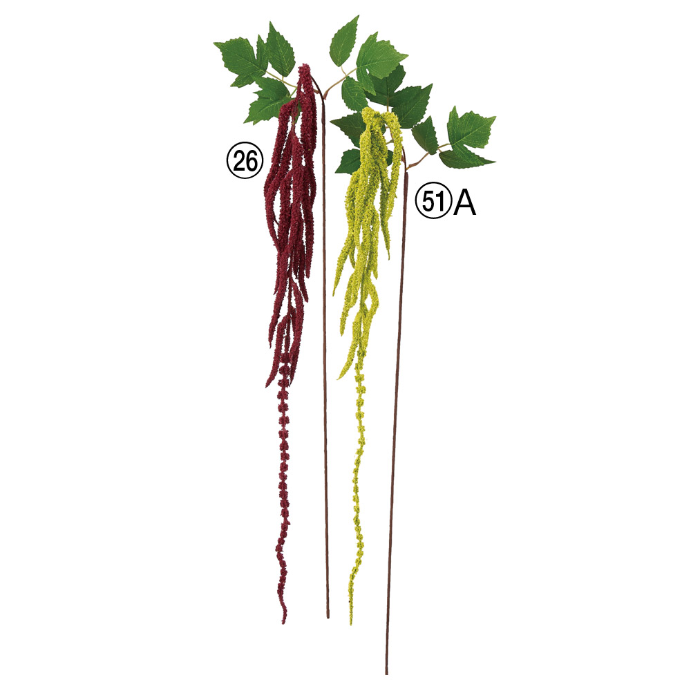 A-35360 アマランサス×１６