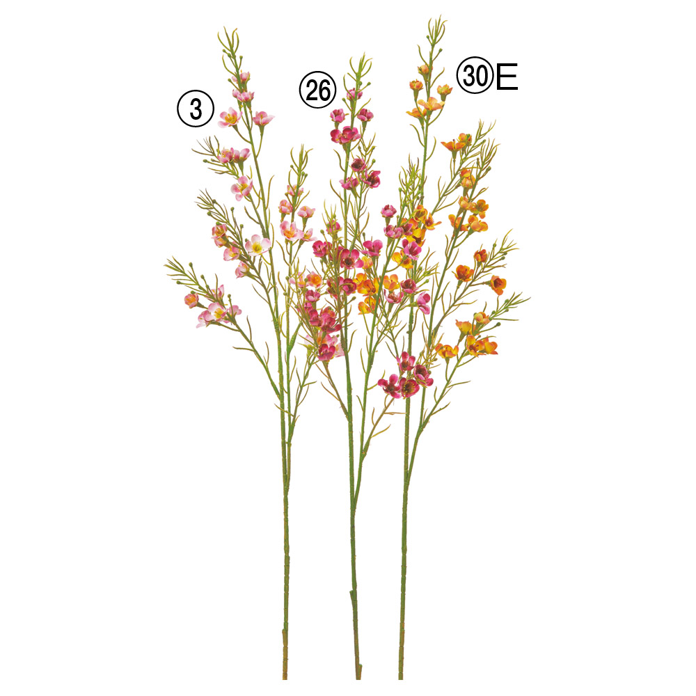 A-35362 ワックスフラワー×３１