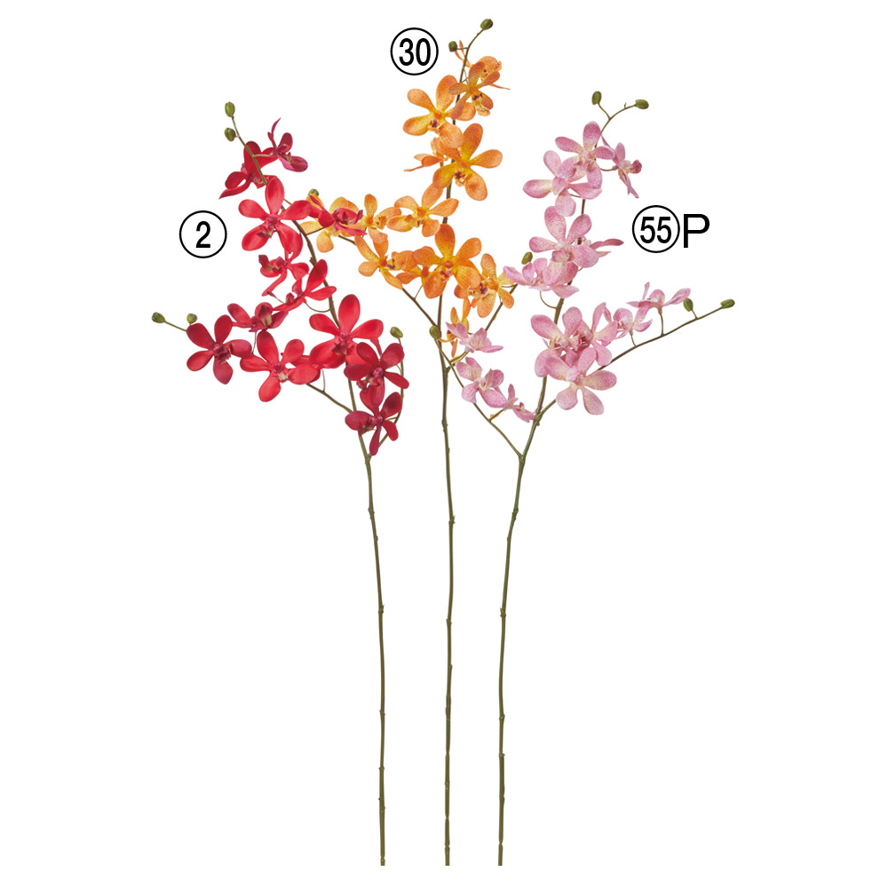 A-35363 オーキッドＸ１４　つぼみＸ５