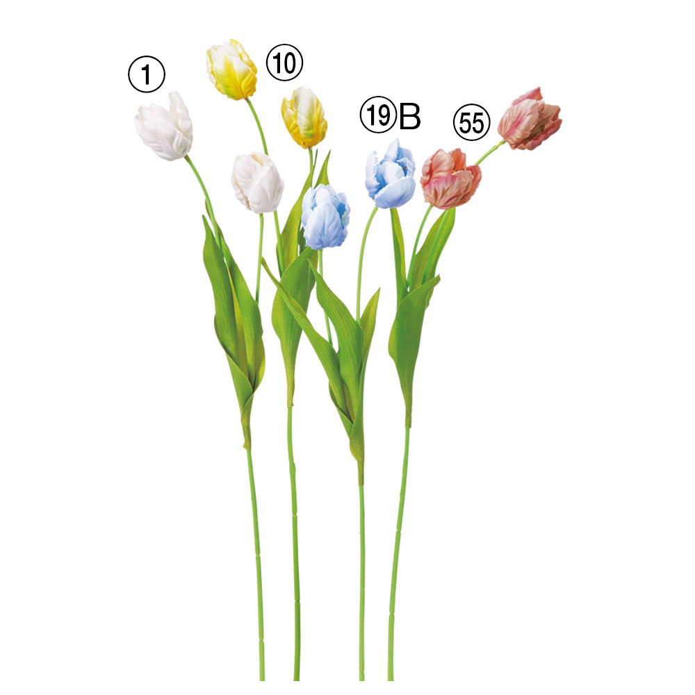 A-35367 チューリップ×２