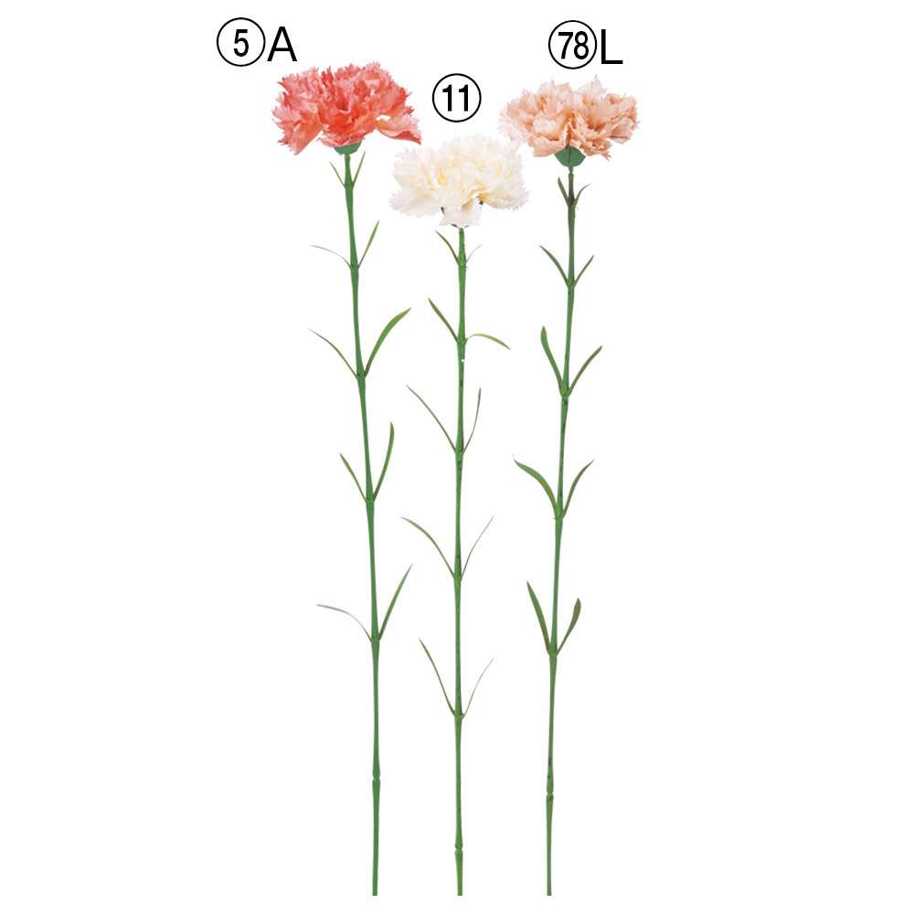 A-35369 カーネーション