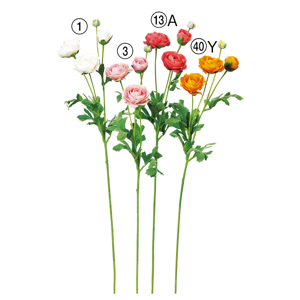 A-35372 ラナンキュラス×３　つぼみ×１