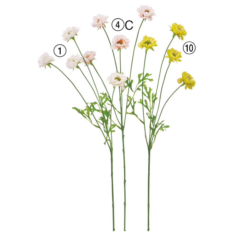 A-35376 ラナンキュラス×４