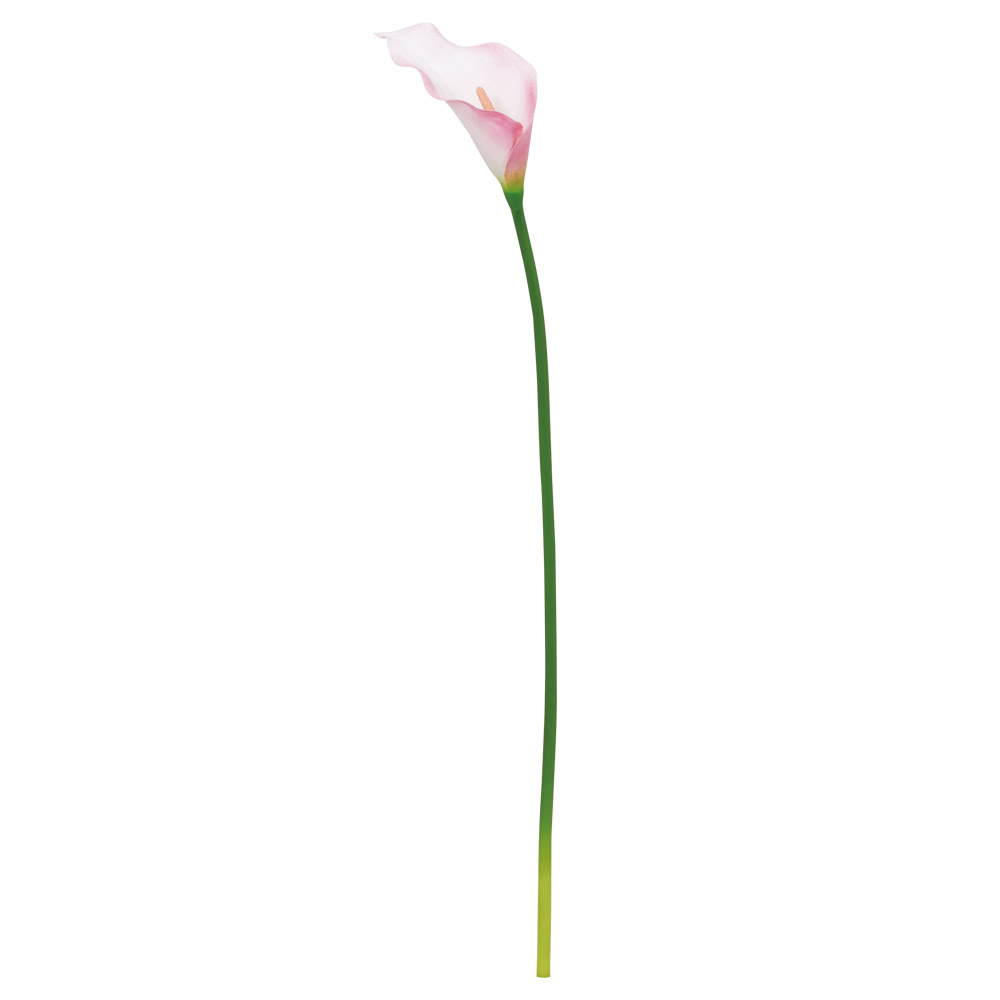 A-35379 カラーリリィ