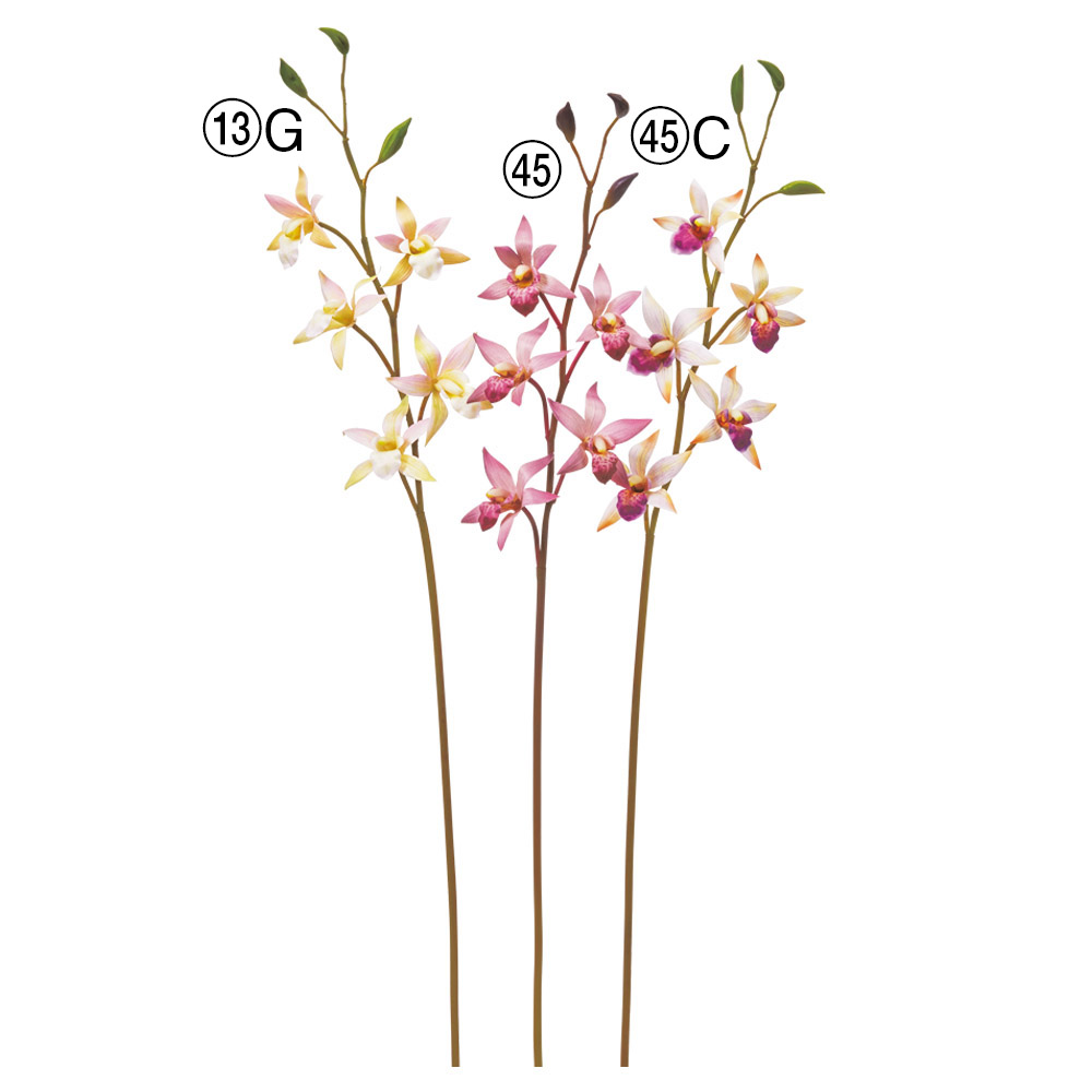 A-35381 オーキッドＸ５　つぼみＸ３