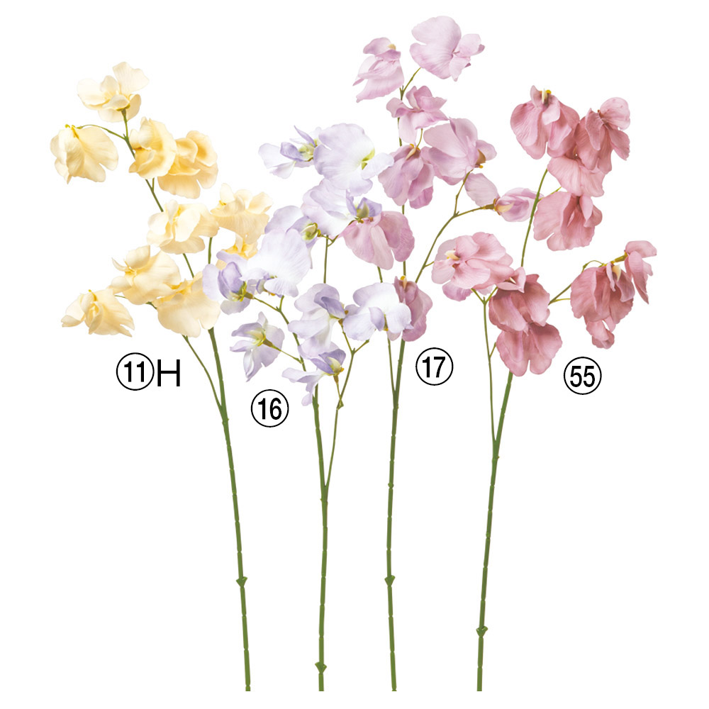 A-35382 スイトピーＸ１０