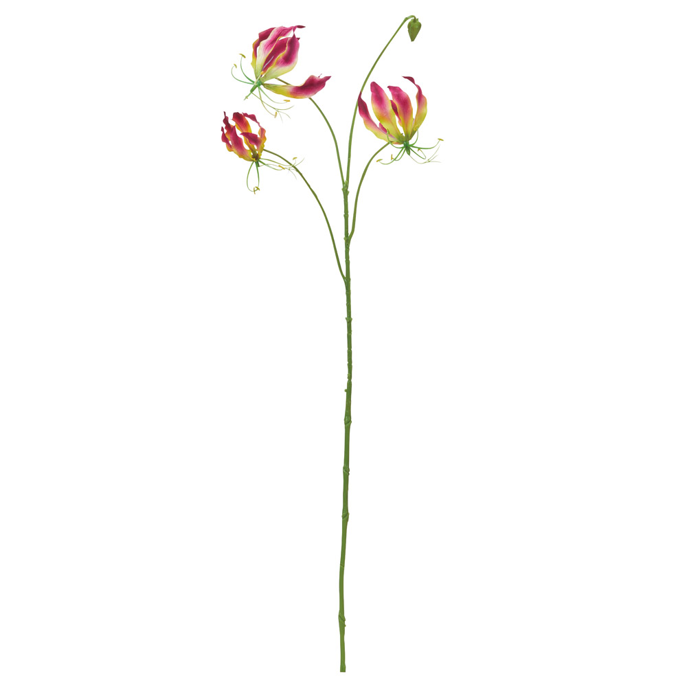 A-35397 グロリオサ×３　つぼみ×１