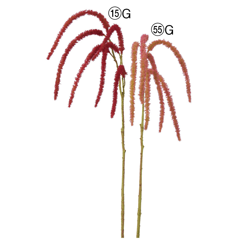 A-35398 アマランサス×６