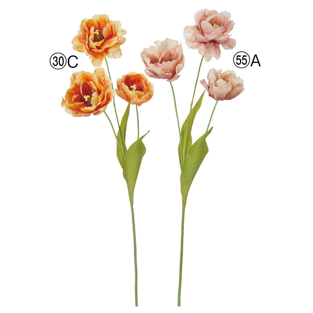 A-35399 チューリップ×３