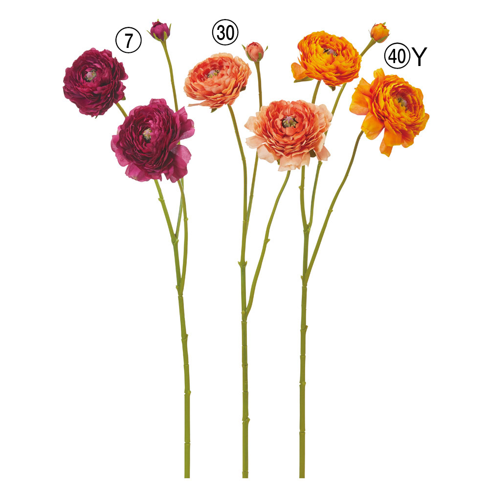 A-35400 ラナンキュラス×２　つぼみ×１