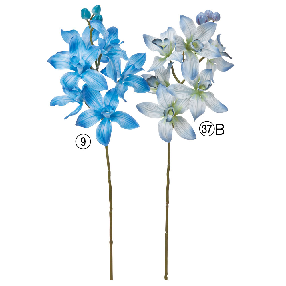 A-35403 シンビジューム×６　つぼみ×３