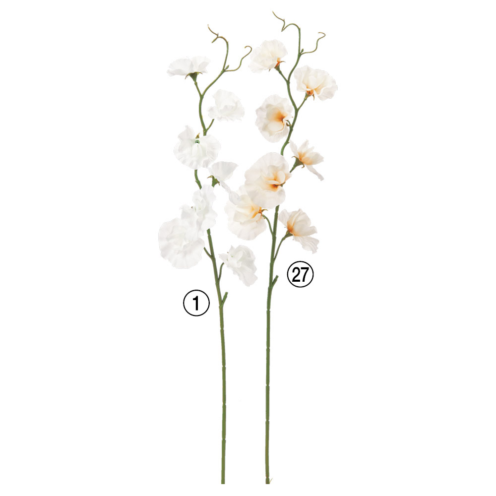 A-35410 スイトピー×７