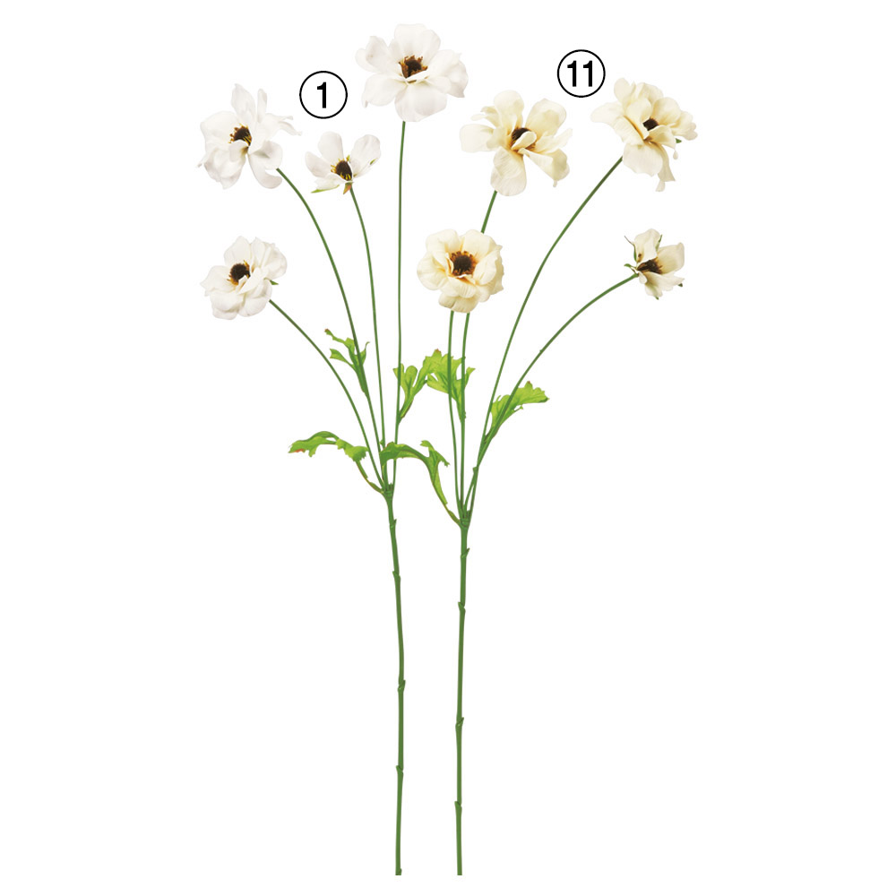 A-35412 ラナンキュラス×４