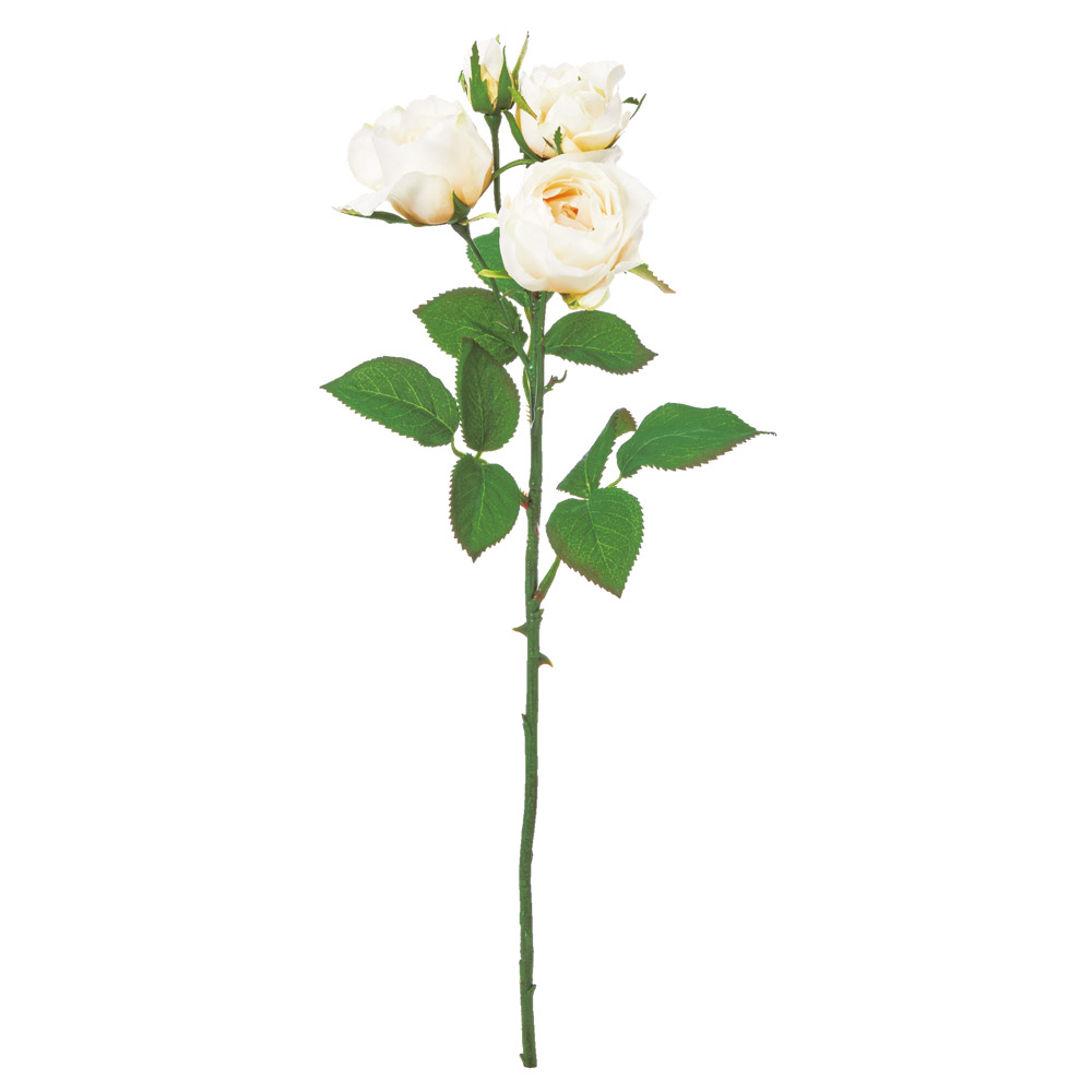 A-35415 ローズ×４　つぼみ×１