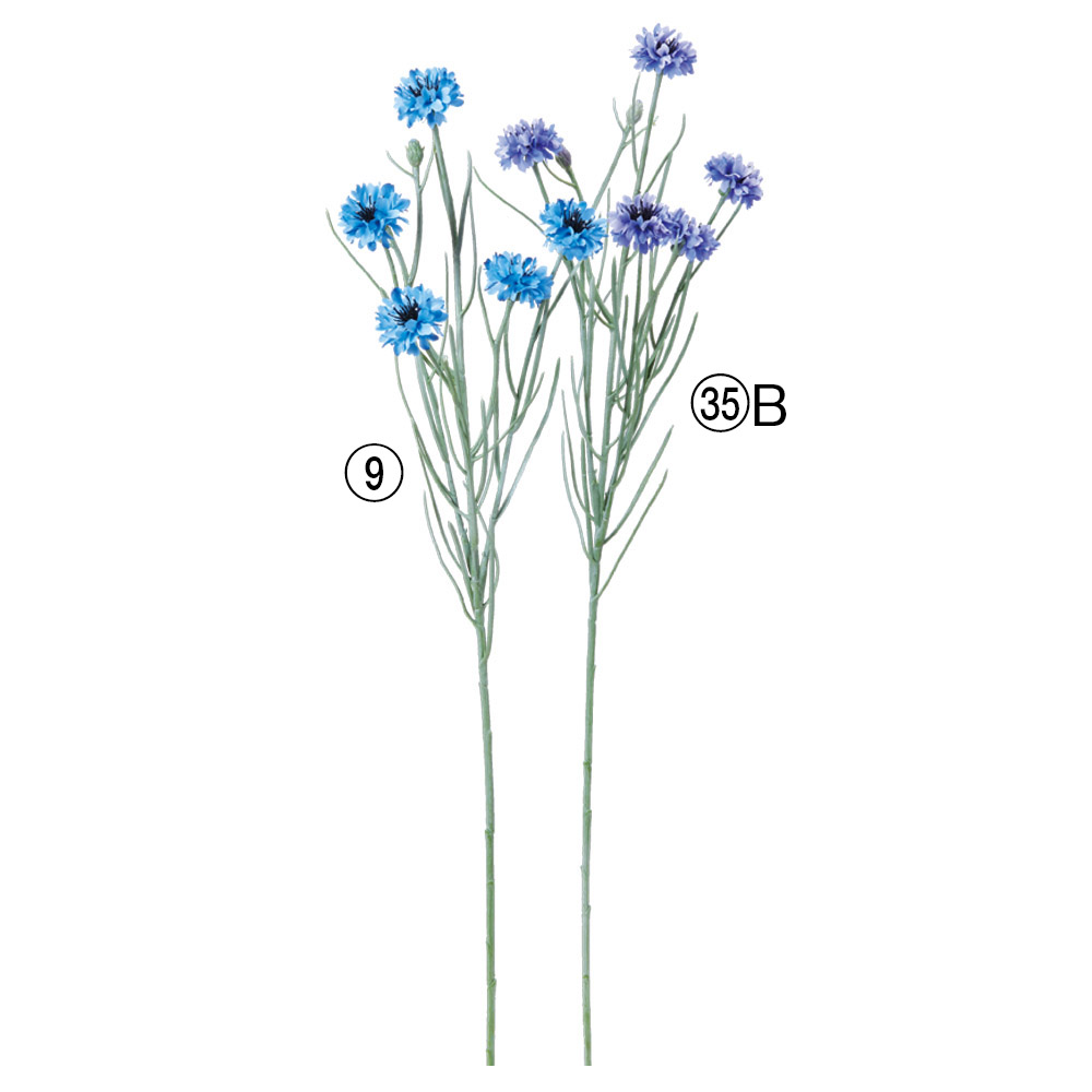 A-35417 コーンフラワー×５　つぼみ×２