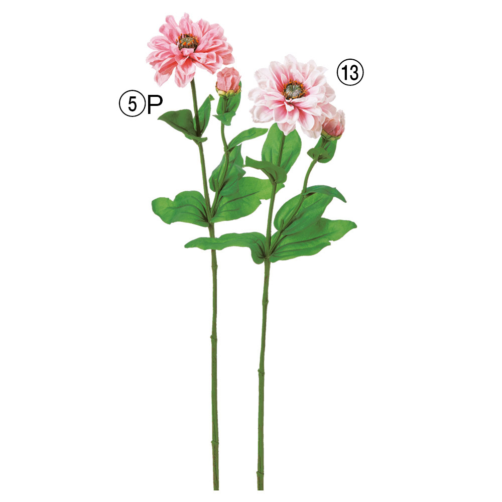 A-35422 ジニア×１　つぼみ×１