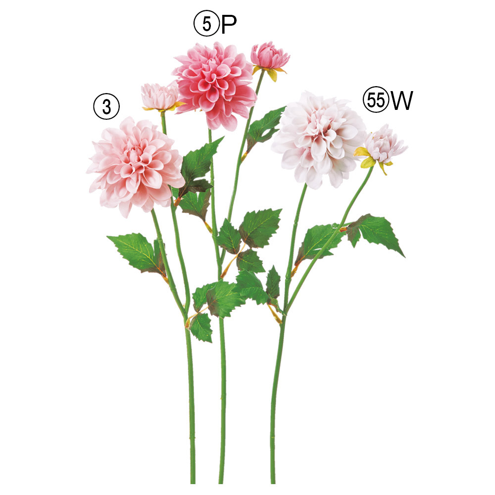 A-35423 ダリア×１　つぼみ×１