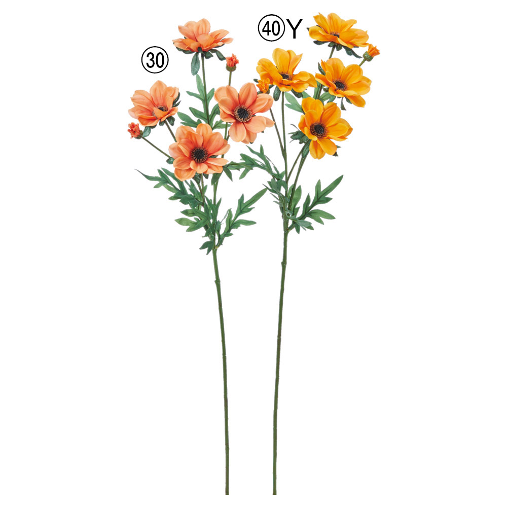 A-35428 デージーＸ４　つぼみＸ２