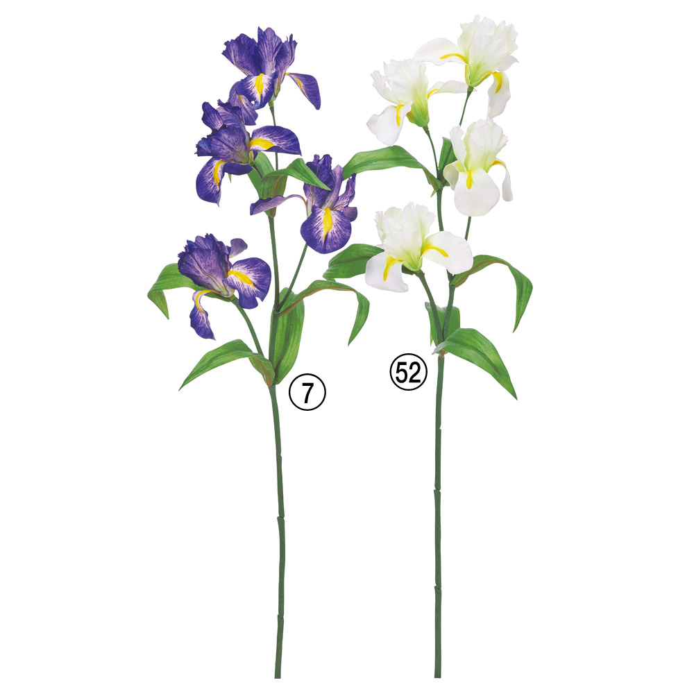 A-35437 アイリス×４