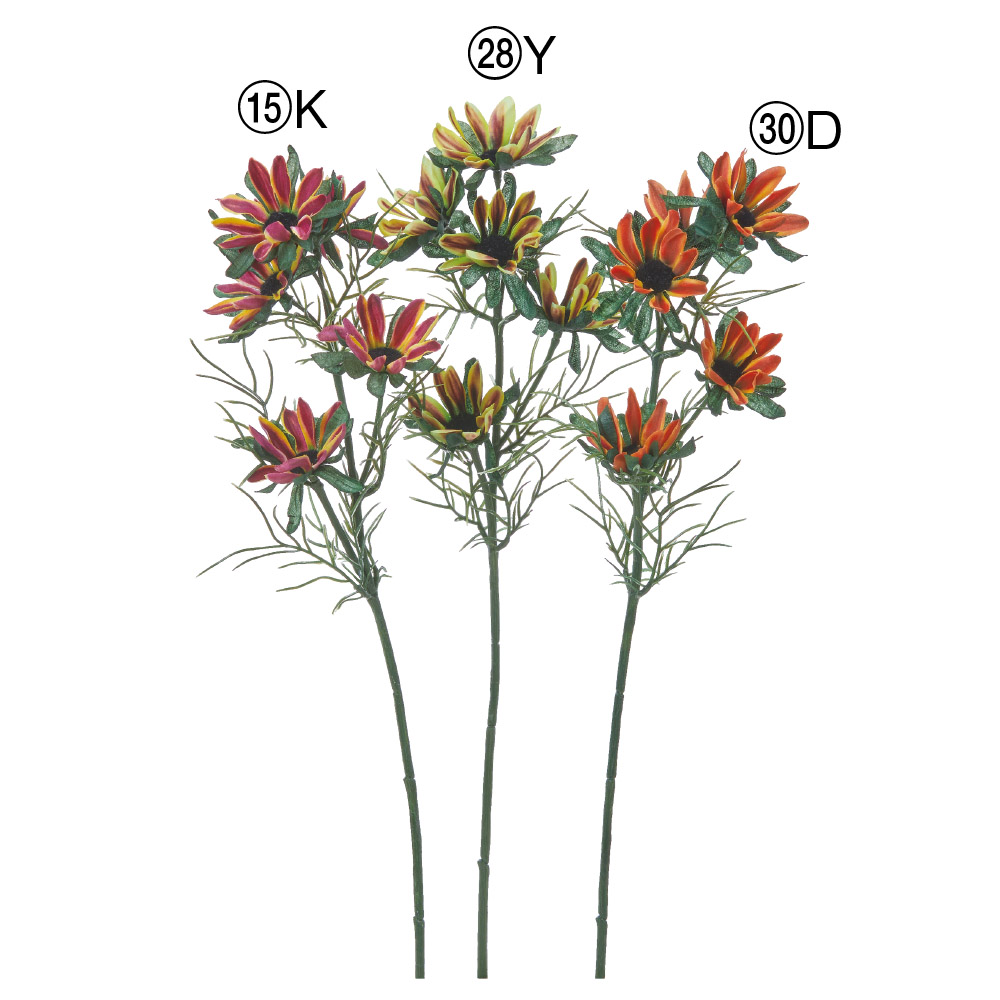 A-35439 デージーＸ５