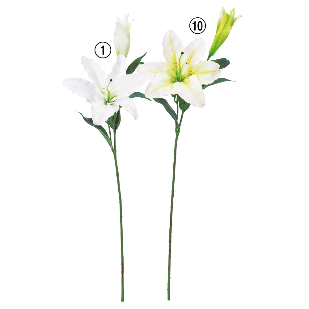 A-35444 カサブランカ×１　つぼみ×１