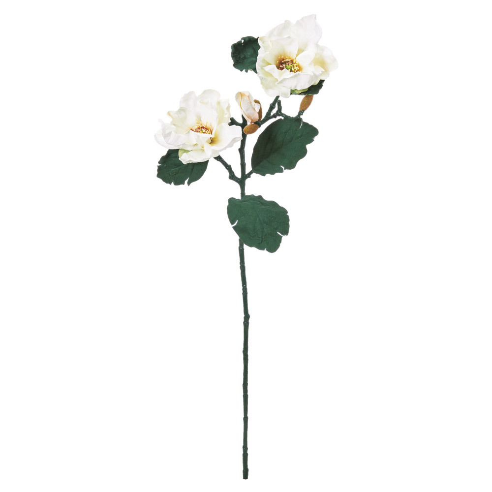 A-35446 マグノリア×２　つぼみ×６