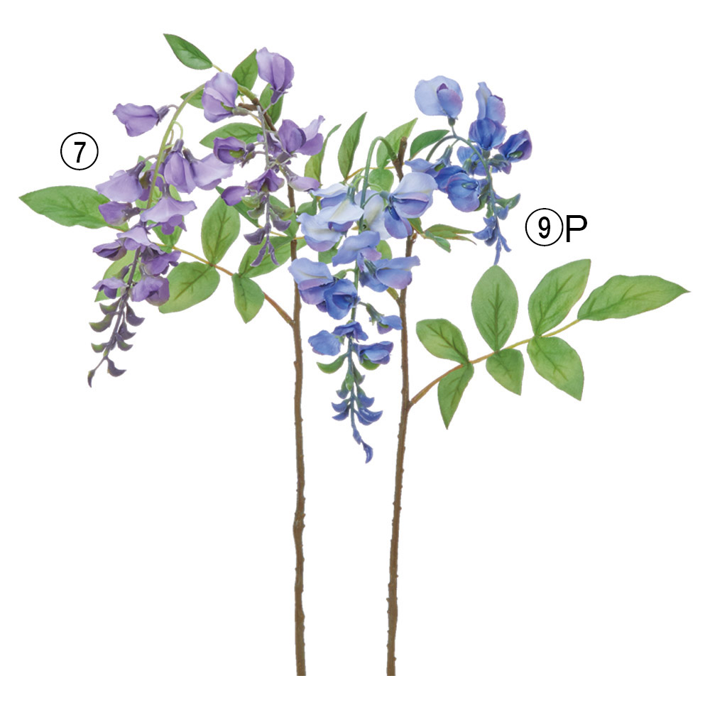 A-35447 ウィステリア