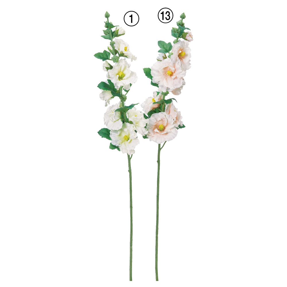 A-35451 タチアオイ×６　つぼみ×１１