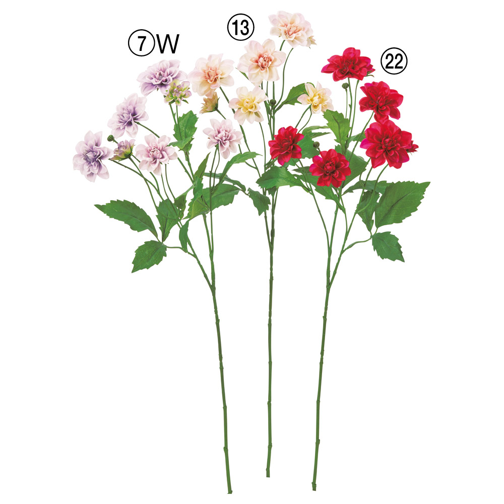 A-35466 ダリア×７　つぼみ×４