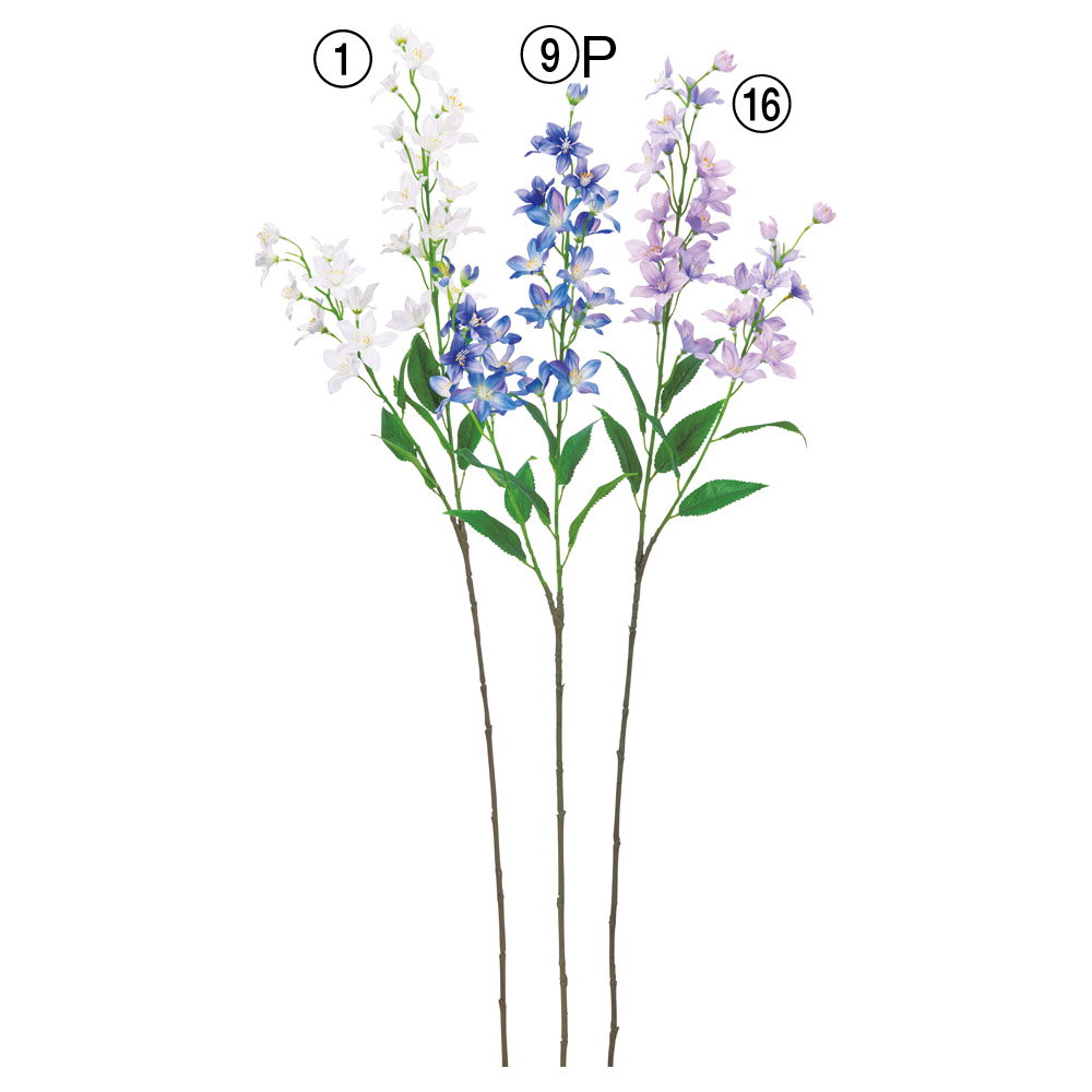 A-35470 ラクスパーＸ２６