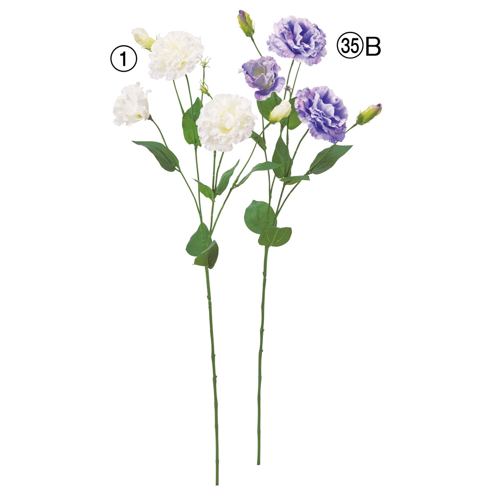 A-35471 トルコギキョウ×３　つぼみ×３