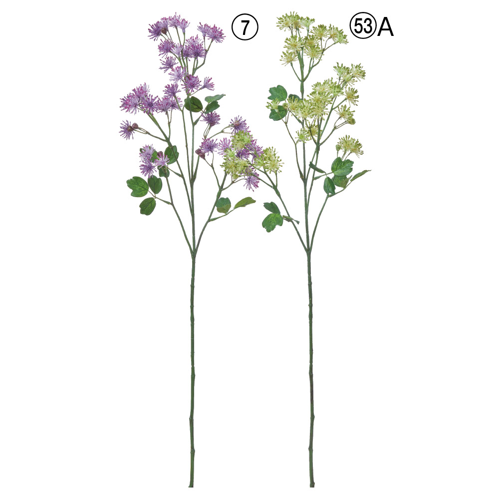 A-35472 サリクトラム×４４　つぼみ×９