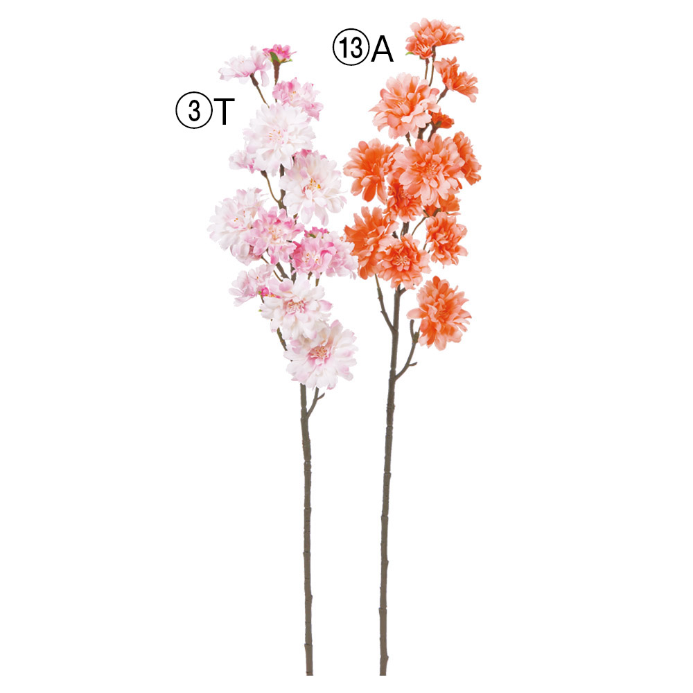 A-35475 ブロッサム×１９