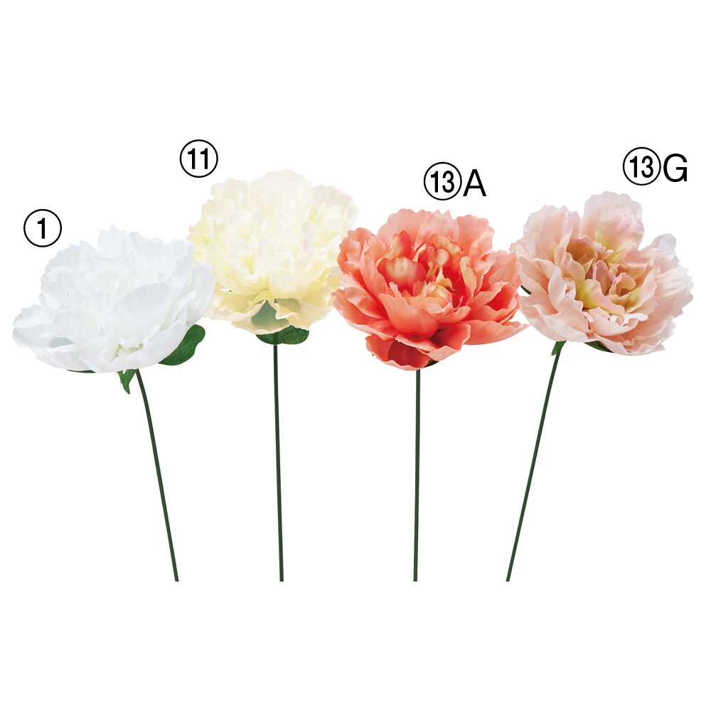 A-35478 ピオニーピック