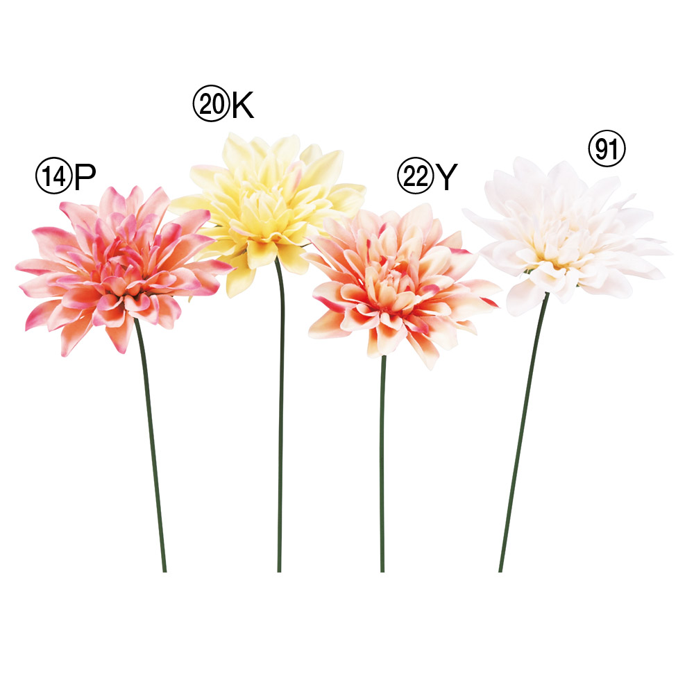 A-35479 ダリアピック